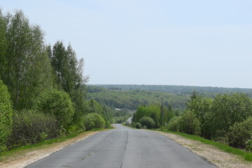 Road. Trees. Sky. Spring