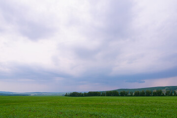 Clouds, green field before rain.