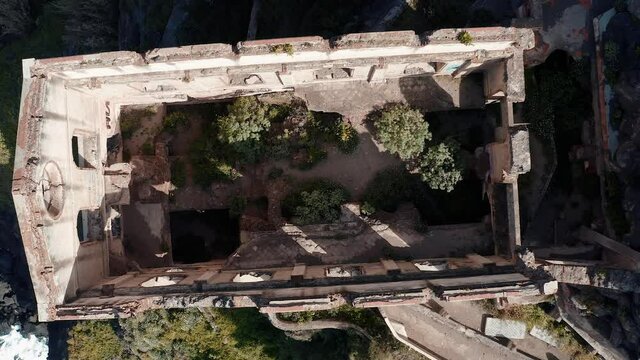 Flying above the ruin of Casa Hamilton and discovering the trees inside the house - Los Realejos