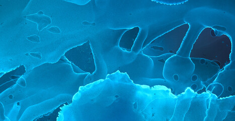 Alcohol Ink Texture. Art Liquid Elegant Design.