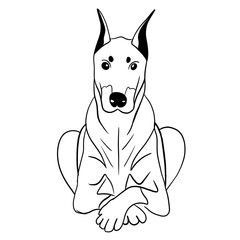 Simple silhouette of an important doberman