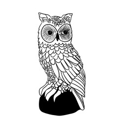 Portrait of an adult important owl