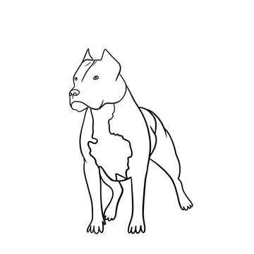 Simple silhouette of a pit bull