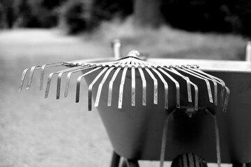 Rake