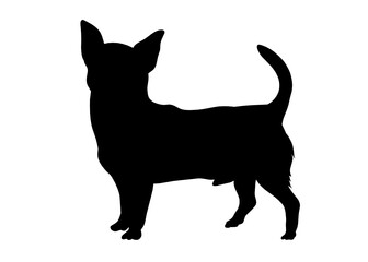 Chihuahua dog silhouette, Vector illustration silhouette of a dog on a white background.	