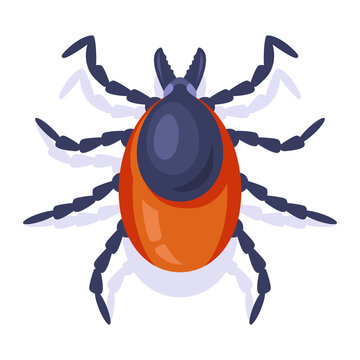 orange tick insect top view clip art preview