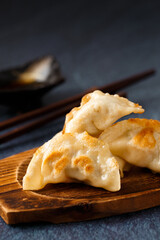 Gyoza dumplings, popular japanese and chinese food