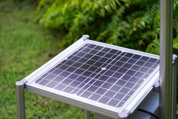 New Solar Cell is laid down among tree plant in the garden.