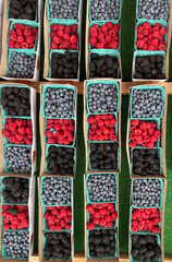 fresh berries on display at the farmers market