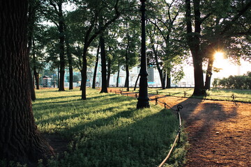 sunset in the park