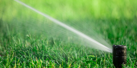 The rotary nozzle of the automatic watering system waters the juicy young green lawn grass....