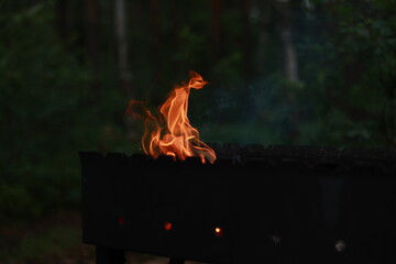 The fire. Tongues of open flame. Fire. Beautiful flames in the fresh air. Fire in the grill. The flame in the grill against the background of a green forest.