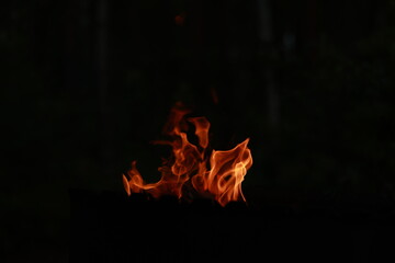 The fire. Tongues of open flame. Fire. Beautiful flames in the fresh air. Fire in the grill.