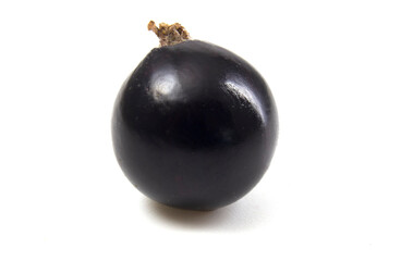 Black currant close up on a white background. Isolated berry for quick selection. Delicious fruit full focus.