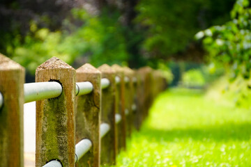 Pathway to paradise bokeh photo.