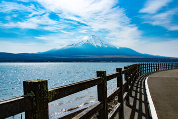 wooden bridge over lake