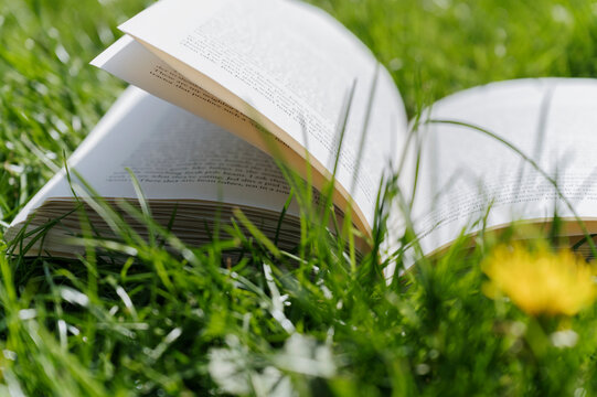 Close-up of open book on grass