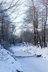 river covered with ice and snow