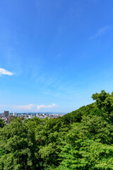 Fototapeta premium 大年寺山より仙台市内を展望する