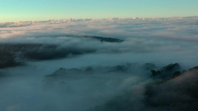 Australian Rainforest Aerial footage 4k