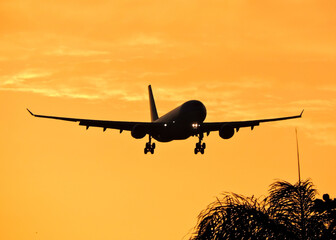 Plane at Sunset 