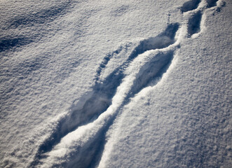 footprints on snowdrifts after walking