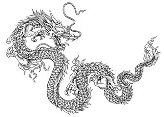 Fototapeta na wymiar chinese dragon illustration with scales and eagle claws