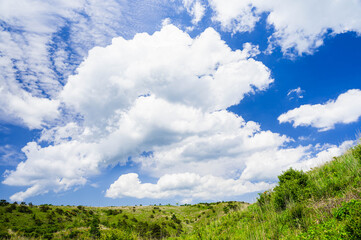 Obraz premium 初夏の高ボッチ高原