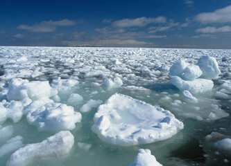 接岸した流氷（北海道・野付半島）  © 愛 高行
