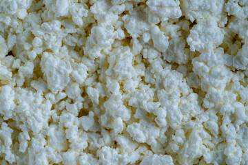 Cottage cheese of background. White grainy texture of dairy product