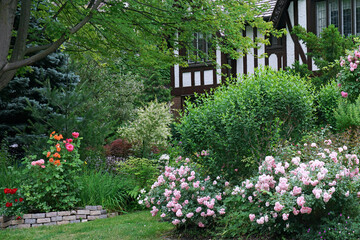 Front garden with prolific rose bushes