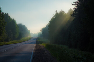 the rays of the dawn sun beautifully illuminate the fog on the road on a hot summer morning
