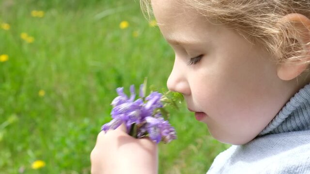 Little girl smelling meadow flowers. Day dreaming child enjoying nature outdoors. 