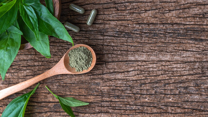 Andrographis paniculata and capsule on wooden background. Healthcare/Medical.