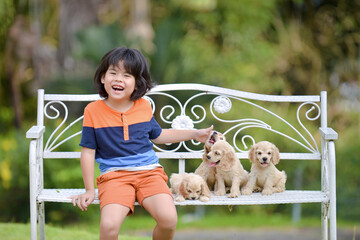 Asian child bonding time with american cocker spaniel puppies on a garden bench.Young male with...