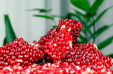 red and ripe fruit pomegranate with red grains