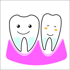 healthy tooth on a white
