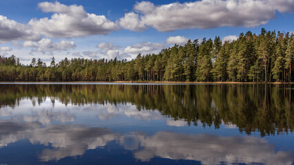 Fototapeta na wymiar Reflection of trees in lake.