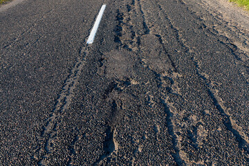 road for the movement of various vehicles