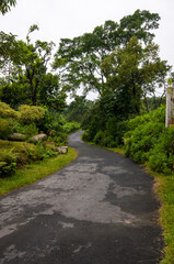 Obraz premium A village homestay at Mawlynoong, the Asia's cleanest village near Cherrapunji, Meghalaya of India and tranquil nature with natural root bridge. A great tourist spot.