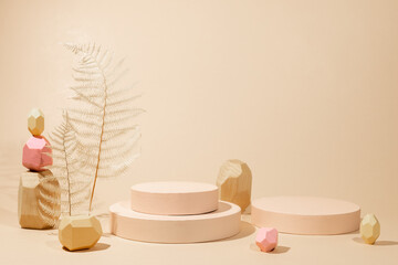 Composition of  geometric podiums, balancing wooden stones and dried leaves for products...