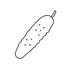 Cucumber. Vegetable sketch. Thin simple outline icon. Black contour line vector. Doodle hand drawn illustration