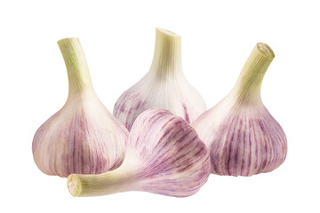 Fototapeta premium Garlics isolated on white background