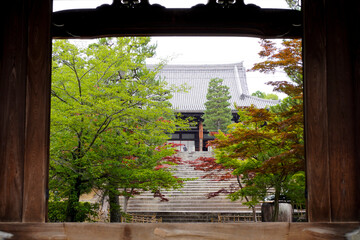 Fototapeta premium Konkai Komyoji Temple in Kyoto.