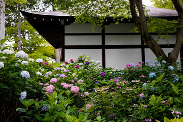 Shin nyo-do Temple in Kyoto.