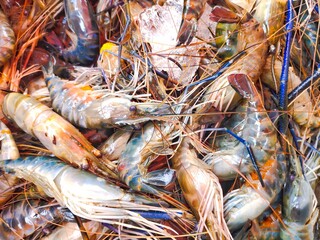 selective focus on giant prawns (Macrobrachium rosenbergii) in the market.