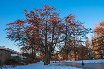 winter in the city