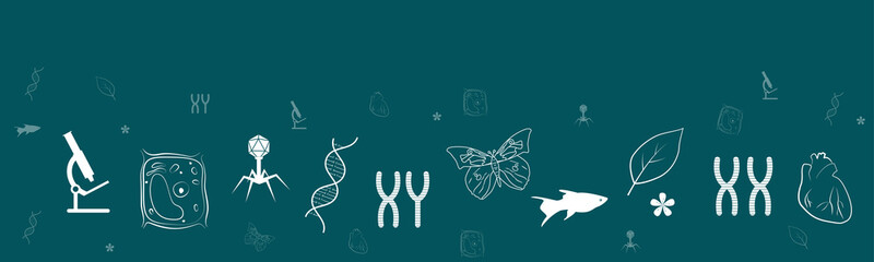 Biology banner with copy space. Vector illustration of biology. Biological banner.