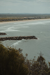 Evan's Head main beach and breakwall as seen from Razorback Lookout.