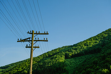 a wooden, electric pole by the railroad tracks